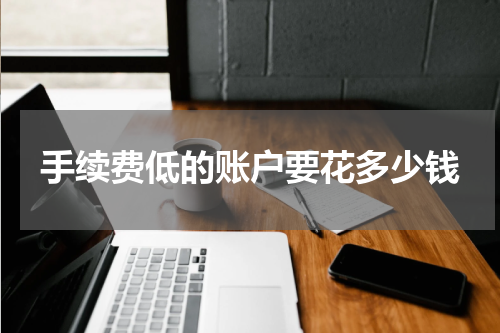 手续费低的账户要花多少钱