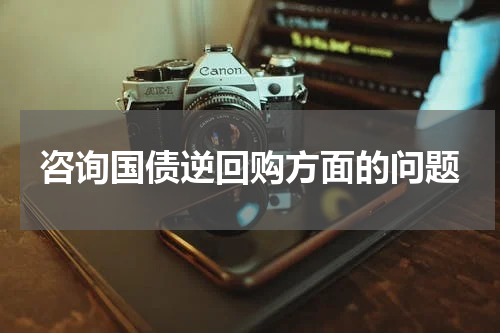 咨询国债逆回购方面的问题